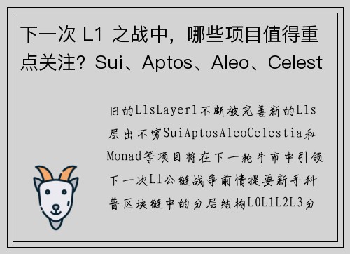 下一次 L1 之战中，哪些项目值得重点关注？Sui、Aptos、Aleo、Celestia、Mona